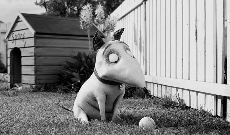 Frankenweenie image
