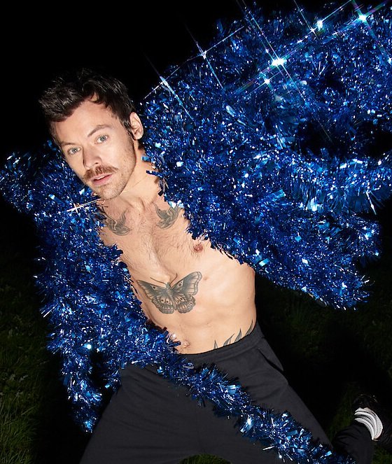 harry styles concert poster crop