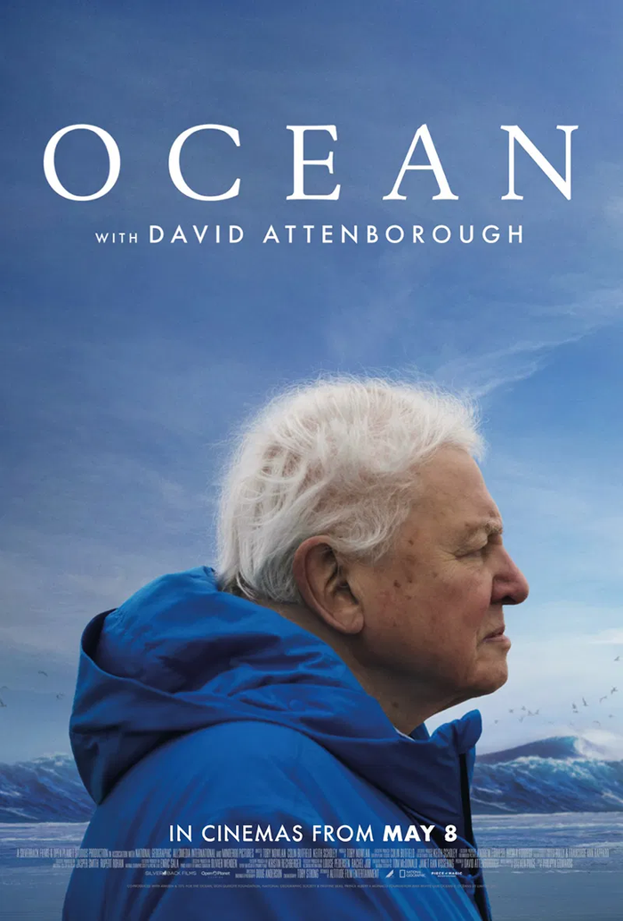 ocean david poster