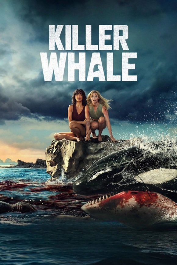 killer whale