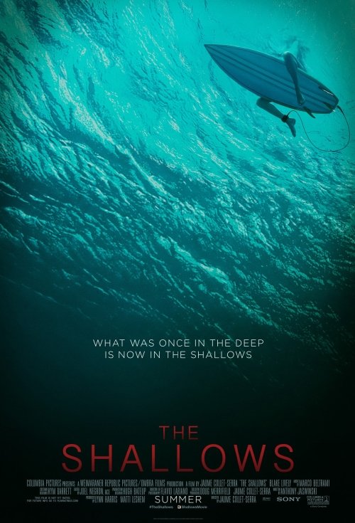 the shallows